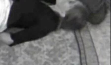 Éjaculations Rétro porno hd gratuit