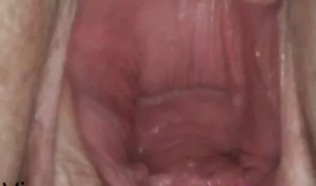 Baise au bord de la piscine film pono hd