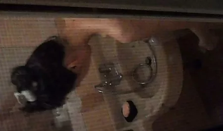 Chatte dégoulinante filme porono gratis très humide