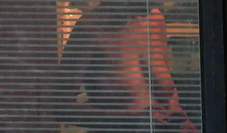 Monsieur. Perversion des orteils de chameau. Partie film cul hd 4
